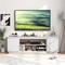 70" Entertainment TV Center with 3 Adjustable and Removable Shelves and 2 Enclosed Cabinets